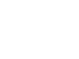 White Logo